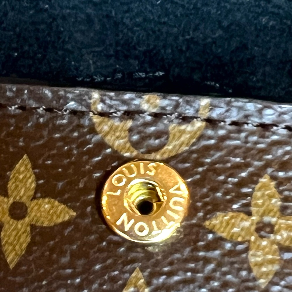 Louis Vuitton Monogram Orange and Black Cat EarPods Case - Picture 8 of 13